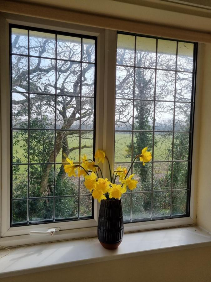 Lovely 2-Bedroom New Forest Apartment On A Farm New Milton Buitenkant foto